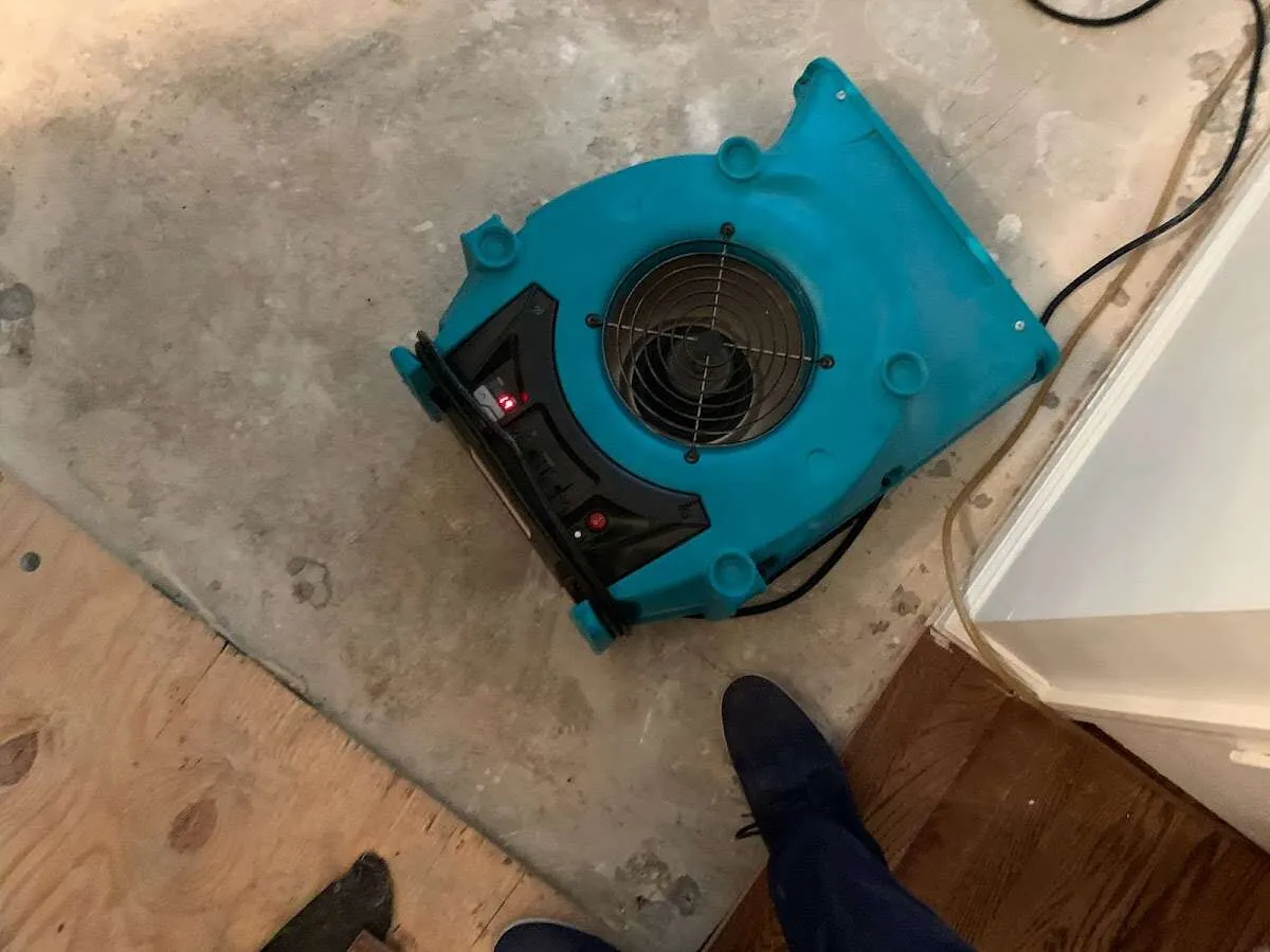 Air mover drying subfloor during Commercial Water Damage Restoration in Westfield